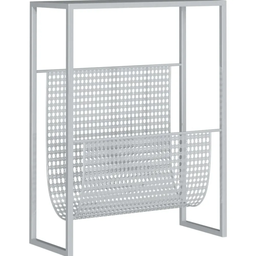 Tijdschriftenrek 35x15x45 cm staal kleurig>vidaXL Clearance