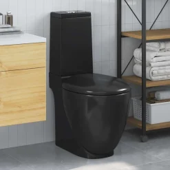 Sanitair & Loodgietersbenodigdheden*vidaXL Toilet met afvoer achter keramiek Zwart