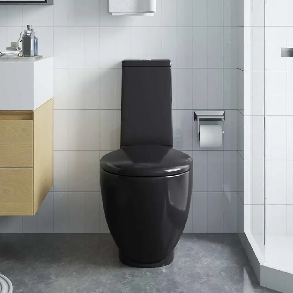 Sanitair & Loodgietersbenodigdheden*vidaXL Toilet rond afvoer onder keramiek Zwart