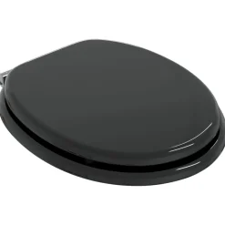 Sanitair & Loodgietersbenodigdheden*vidaXL Toiletbril met soft-closedeksel 2 st MDF zwart