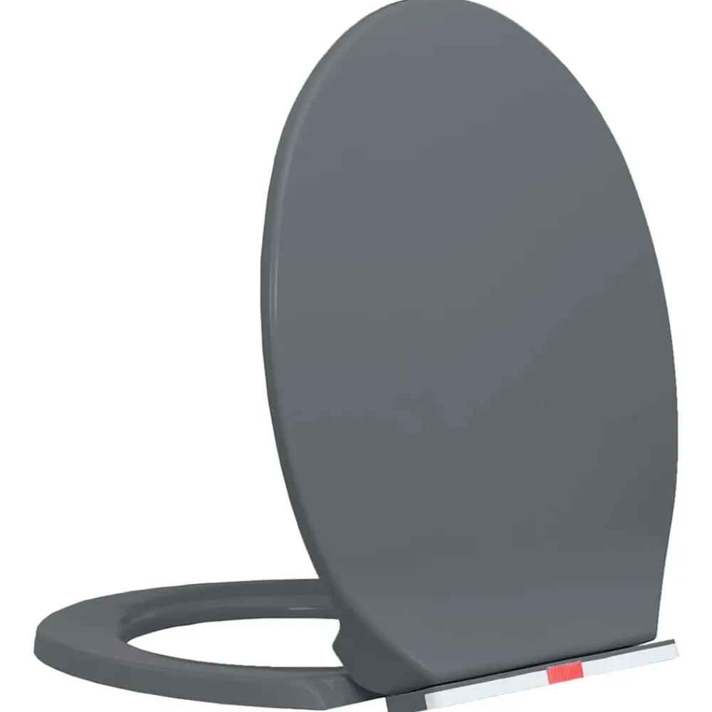 Sanitair & Loodgietersbenodigdheden*vidaXL Toiletbril soft-close en quick-release ovaal Grijs