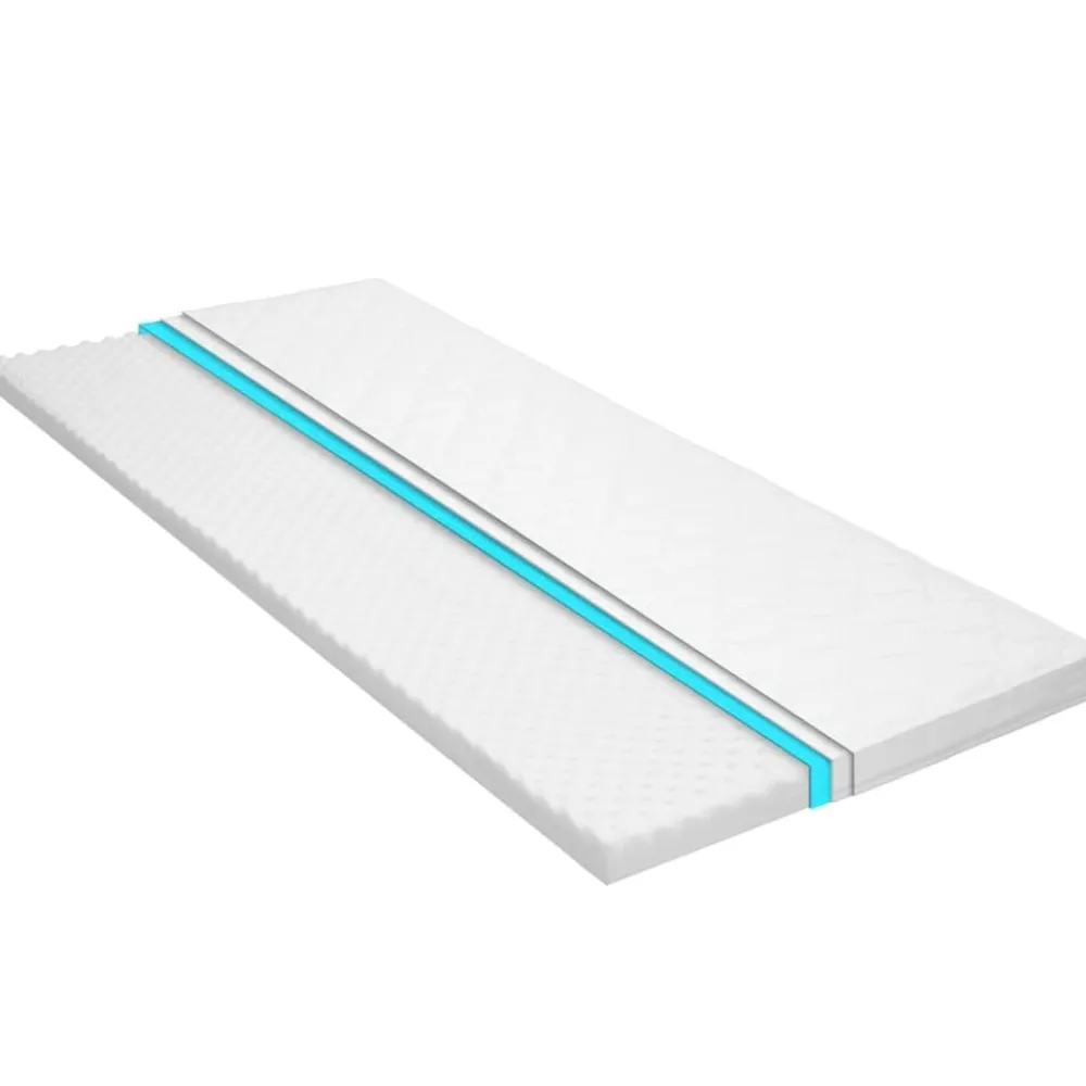 Linnengoed*vidaXL Topmatras ei-profiel 6 cm koudschuim 80x200 cm