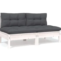 Tuinbank 2-zits met kussens massief grenenhout>vidaXL New