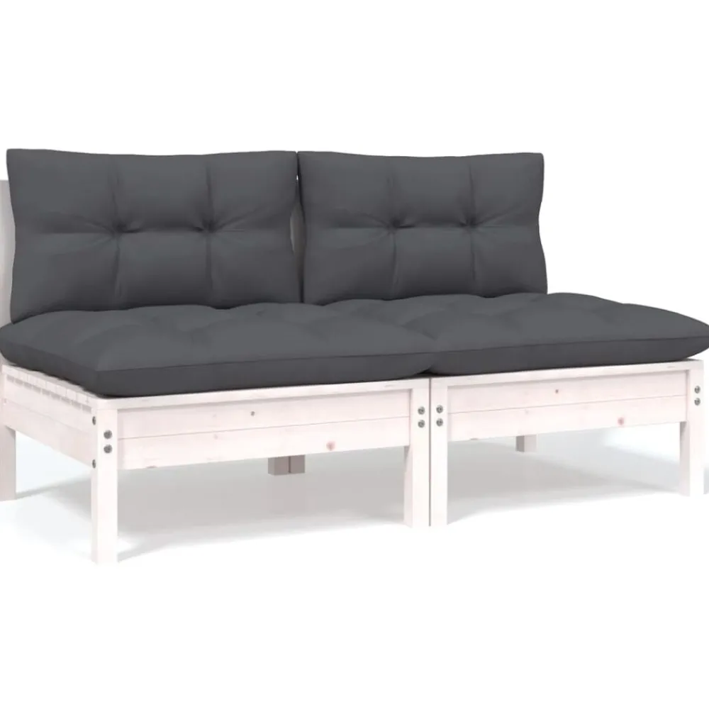 Tuinbank 2-zits met kussens massief grenenhout>vidaXL New