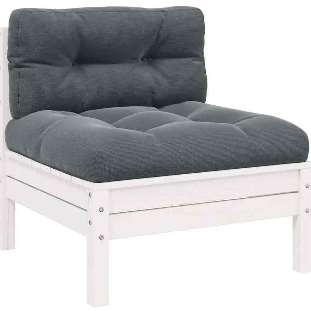 Tuinbank 2-zits met kussens massief grenenhout>vidaXL New