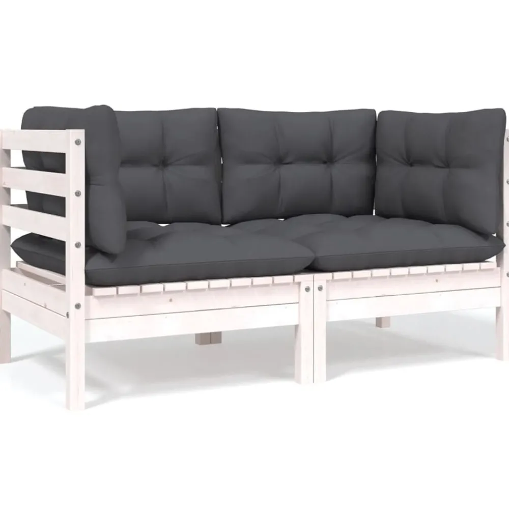 Tuinbank 2-zits met kussens massief grenenhout>vidaXL Outlet