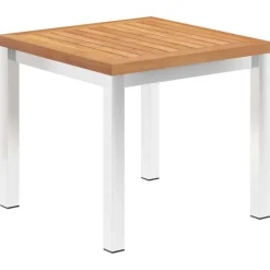Tuinbijzettafel 45x45x38 cm massief teakhout en roestvrij staal>vidaXL New