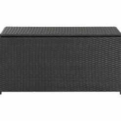 Tuinmeubelen*vidaXL Tuinbox 100x50x50 cm poly rattan Zwart