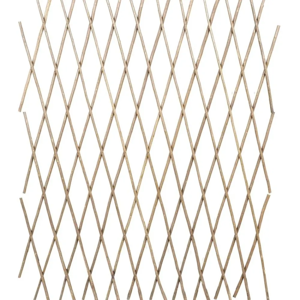 Tuinlatwerk 5 st 180x90 cm wilg>vidaXL Clearance