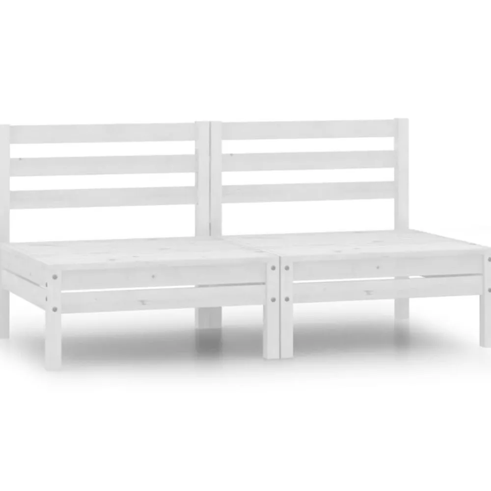 Tuinmiddenbanken 2 st massief grenenhout>vidaXL Best