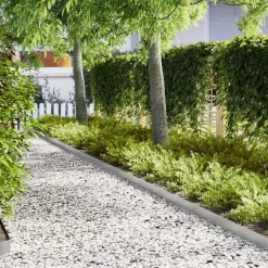 Tuinrand 10 pcs Zilver 100 x 0.05 x 20 cm>vidaXL