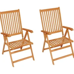 Tuinmeubelen*vidaXL Tuinstoelen 2 st met e kussens massief teakhout koningsblauw