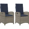 Tuinstoelen 2 st verstelbaar met kussens poly rattan grijs>vidaXL