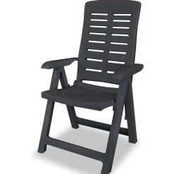 Tuinmeubelen*vidaXL Tuinstoelen 2 st verstelbaar kunststof kleurig Antraciet