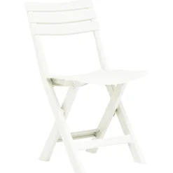 Tuinmeubelen*vidaXL Tuinstoelen inklapbaar 2 st kunststof Wit