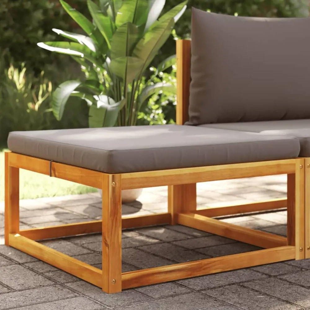 Tuinmeubelen*vidaXL Tuinvoetenbank met kussen 65x65x29 massief acaciahout Grijs