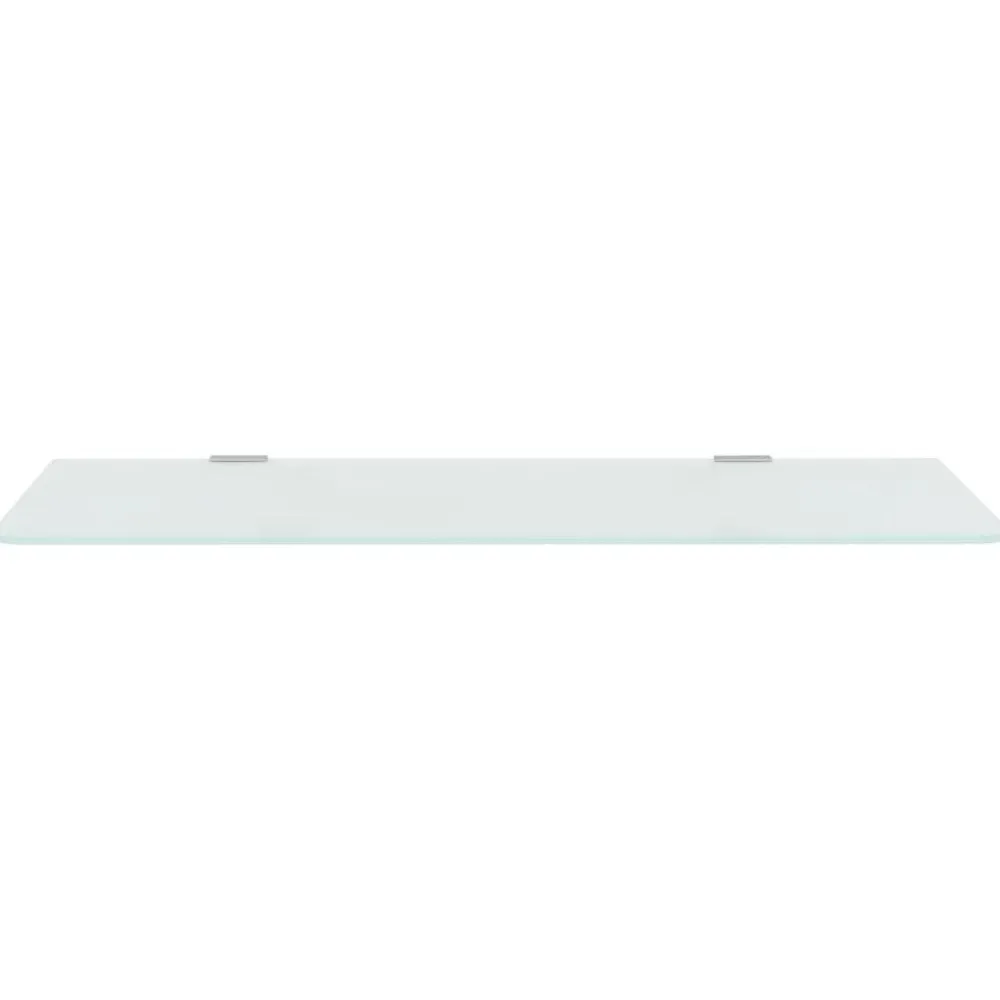 Sanitair & Loodgietersbenodigdheden*vidaXL Urinoirschot 90x40 cm gehard glas Doorzichtig