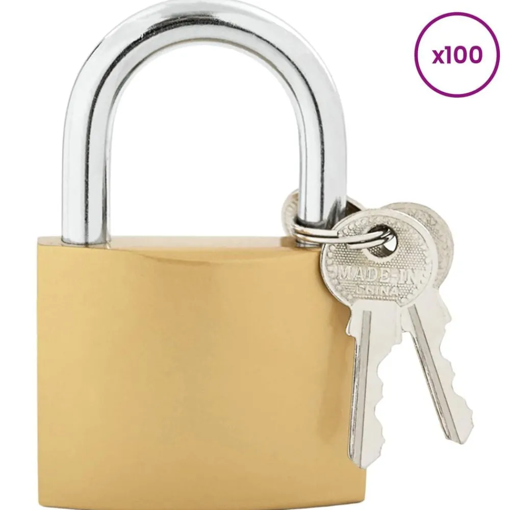U-slot met sleutels 100 pcs Koper IJzer>vidaXL Discount