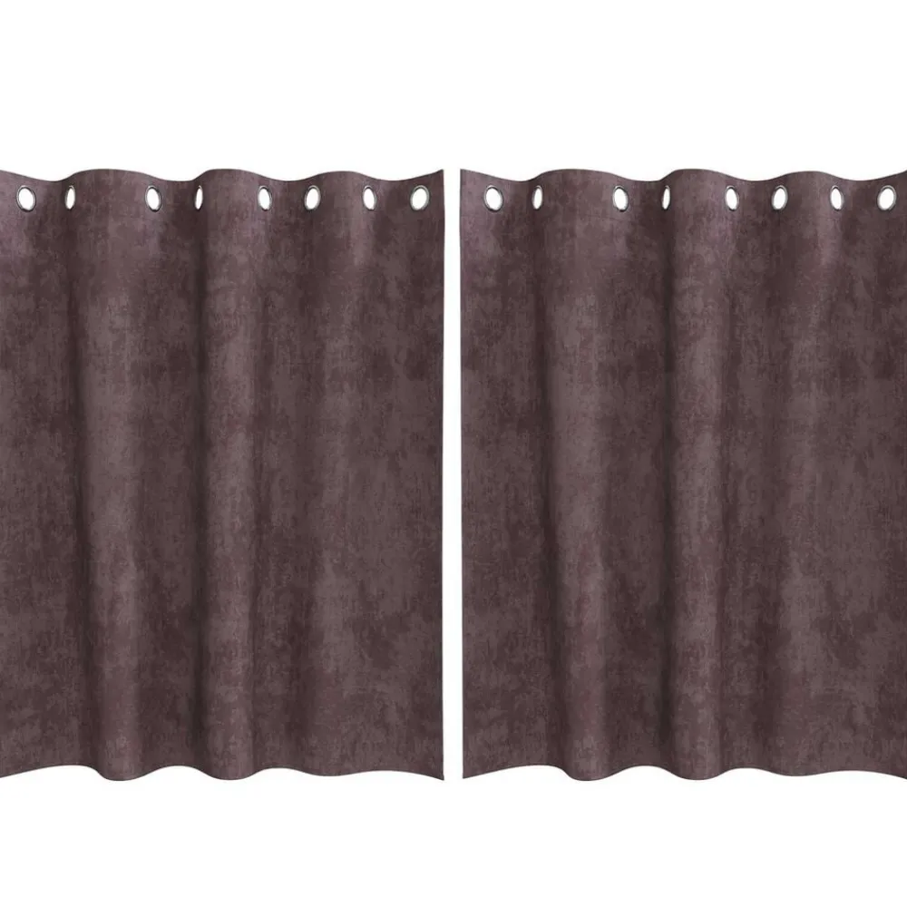 Woon- & Tuinaccessoires*vidaXL Velvet Gordijnen met gordijnen 2 pcs 140 x 140 cm Fluweel Bruin
