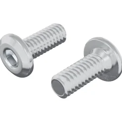 Bouwbeslag*vidaXL Vergrendelingsschroef 2 pcs Zilver M6 x 15 mm Staal