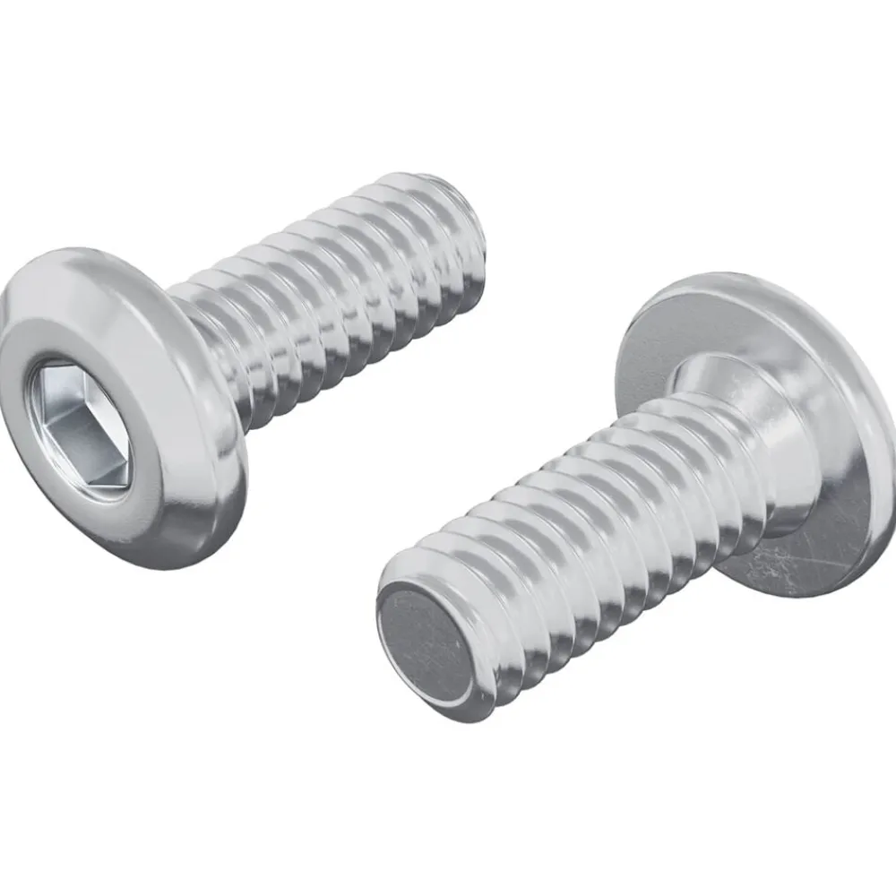 Bouwbeslag*vidaXL Vergrendelingsschroef 2 pcs Zilver M6 x 15 mm Staal