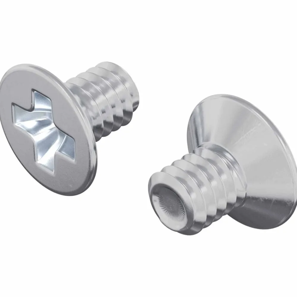 Bouwbeslag*vidaXL Verzonken schroeven 2 pcs Zilver M4 x 6 mm Staal