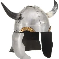 Vikinghelm fantasie LARP staal zilverkleurig>vidaXL Clearance