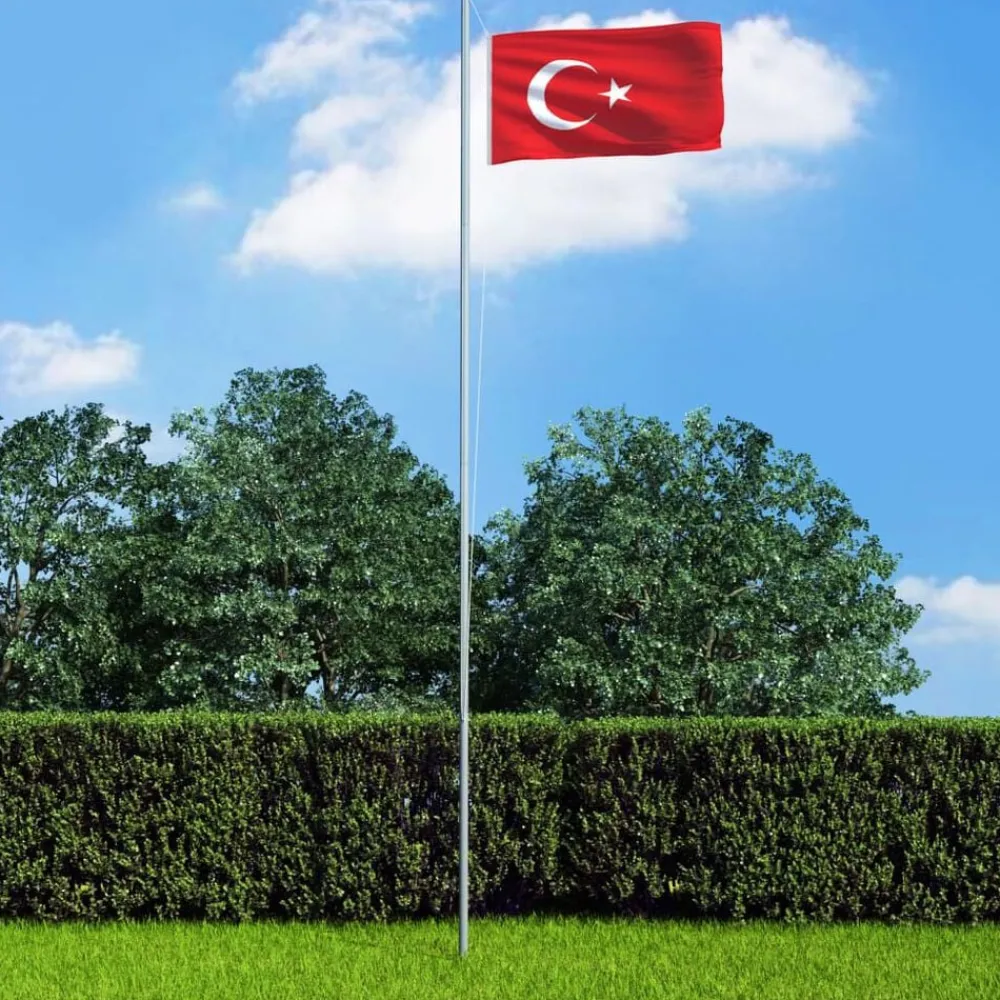 Vlag Turkije 90x150 cm>vidaXL New