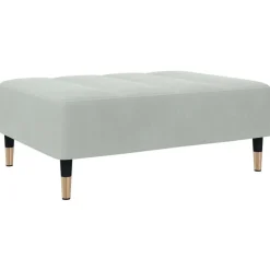 Poefs*vidaXL Voetenbank 77x55x31 cm fluweel Lichtgrijs