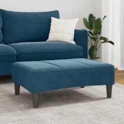 Poefs*vidaXL Voetenbank 77x55x31 cm fluweel Blauw