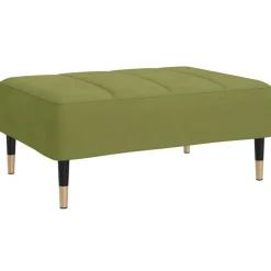 Poefs*vidaXL Voetenbank 78x56x32 cm fluweel Lichtgroen