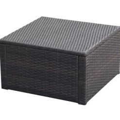 Poefs*vidaXL Voetenbank/poef 53x53x30 cm poly rattan Bruin