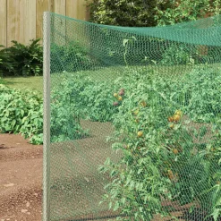 Vogel Beschermnet Groen 2 x 5 m Polyetheen><noscript><img width=