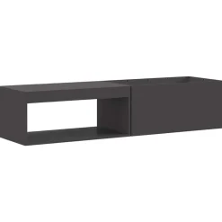 Haarden*vidaXL Vuurkorf Zwart 160 x 45 x 35 cm Staal Koudgewalst staal/zwart