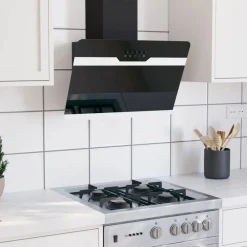 Wandafzuigkap 60 cm staal en gehard glas>vidaXL Outlet