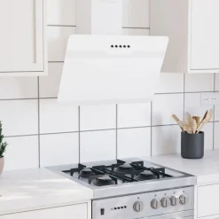 Wandafzuigkap 60 cm staal en gehard glas>vidaXL Outlet
