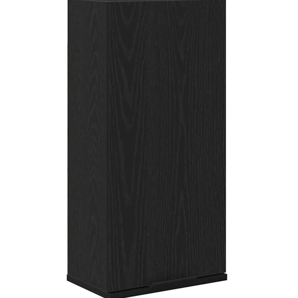 Kasten & Opbergmeubelen*vidaXL Wandkast 32x20x67 cm bewerkt hout Zwart eiken