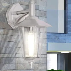 Verlichting*vidaXL Wandlantaarn hangend voor buiten roestvrij staal