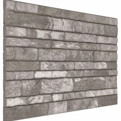 Bouwmaterialen*vidaXL Wandpanelen 10 pcs 100 x 50 cm EPS-schuim Donkergrijs