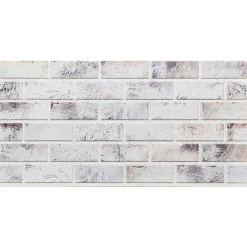 Wandpanelen 10 pcs 100 x 50 cm EPS-schuim>vidaXL Discount