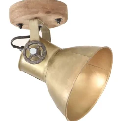 Verlichting*vidaXL Wand-/plafondlampen industrieel 2 st E27 20x25 cm messingkleur Koper