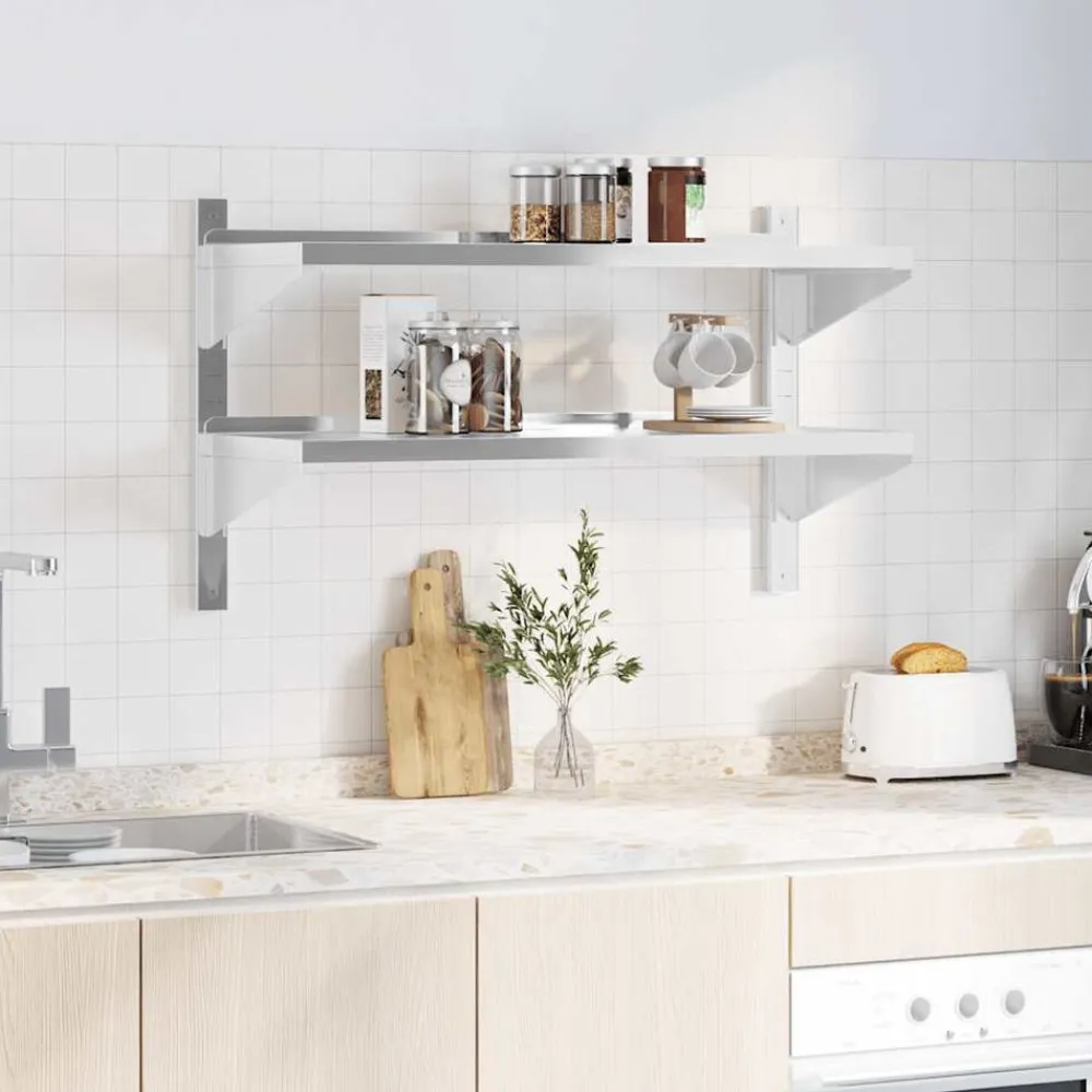 Boekenkasten & Wandplanken*vidaXL Wandschap 2-laags 100x40x60 cm roestvrijstaal zilverkleurig