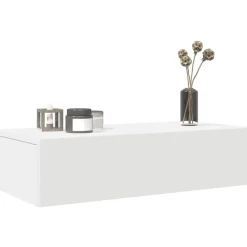 Wandschap met lades 60x26,5x15 cm bewerkt hout>vidaXL