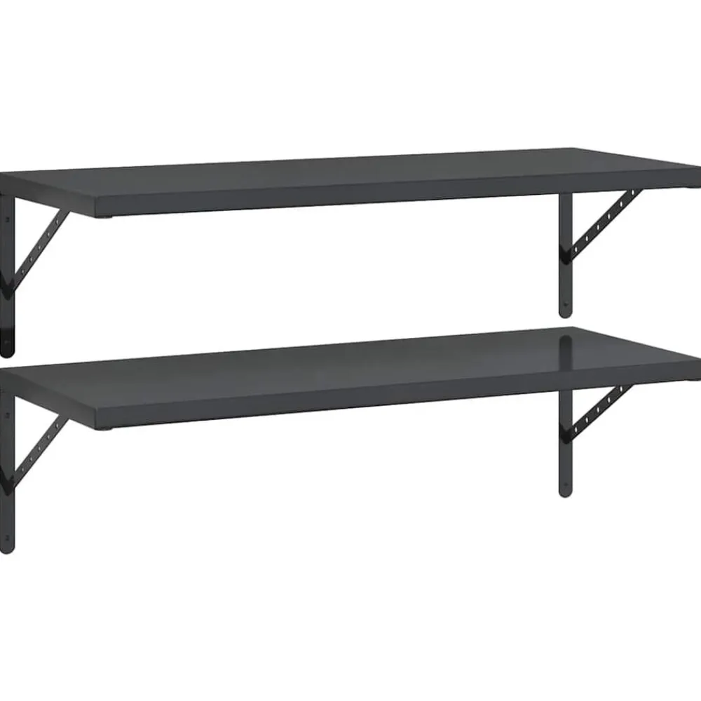 Wandschappen 2 st 100x40 cm roestvrijstaal>vidaXL Discount