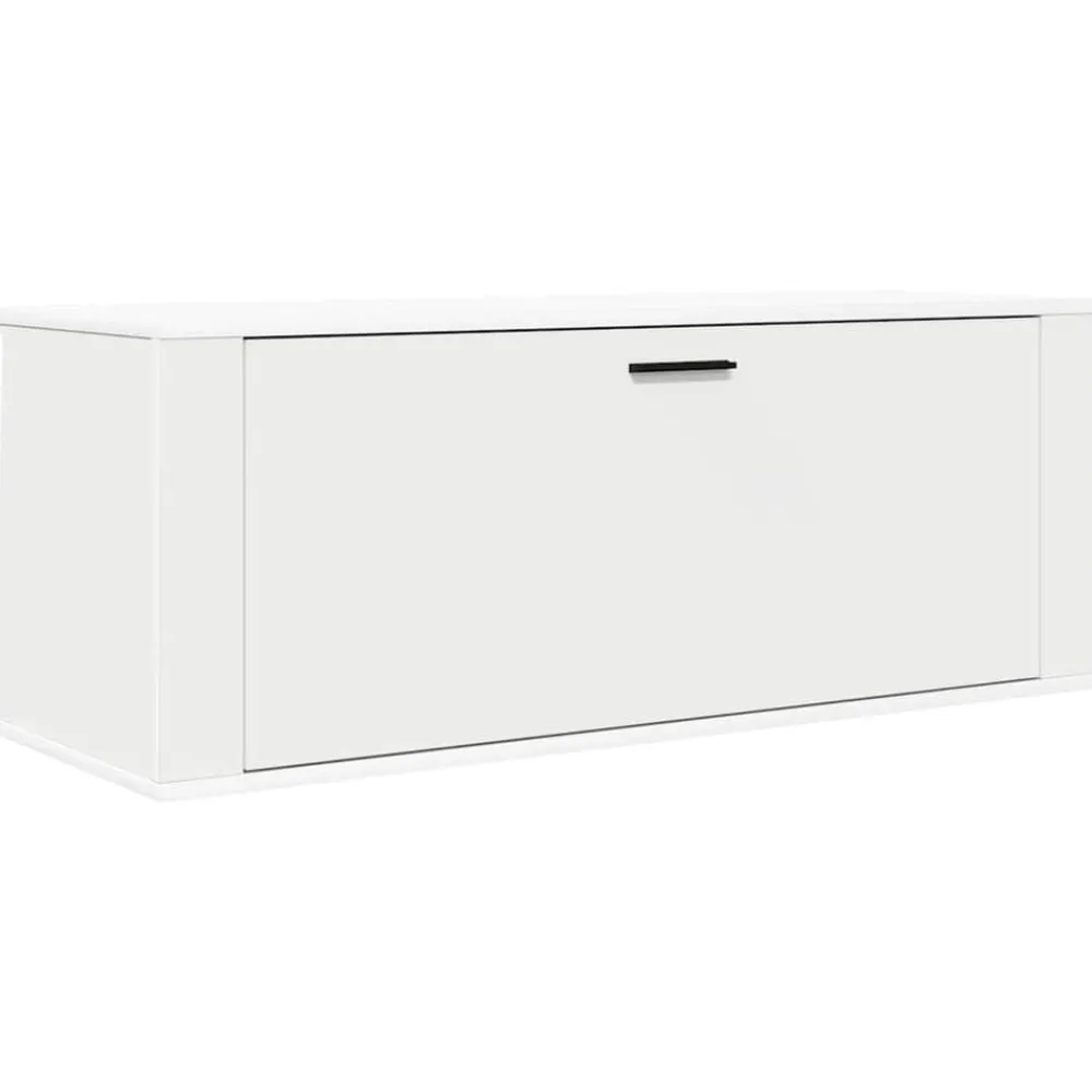 Wandschoenenkast 100x35x38 cm bewerkt hout>vidaXL New