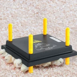 Warmteplaat voor kuikens en eendjes 25x25 cm>vidaXL Discount