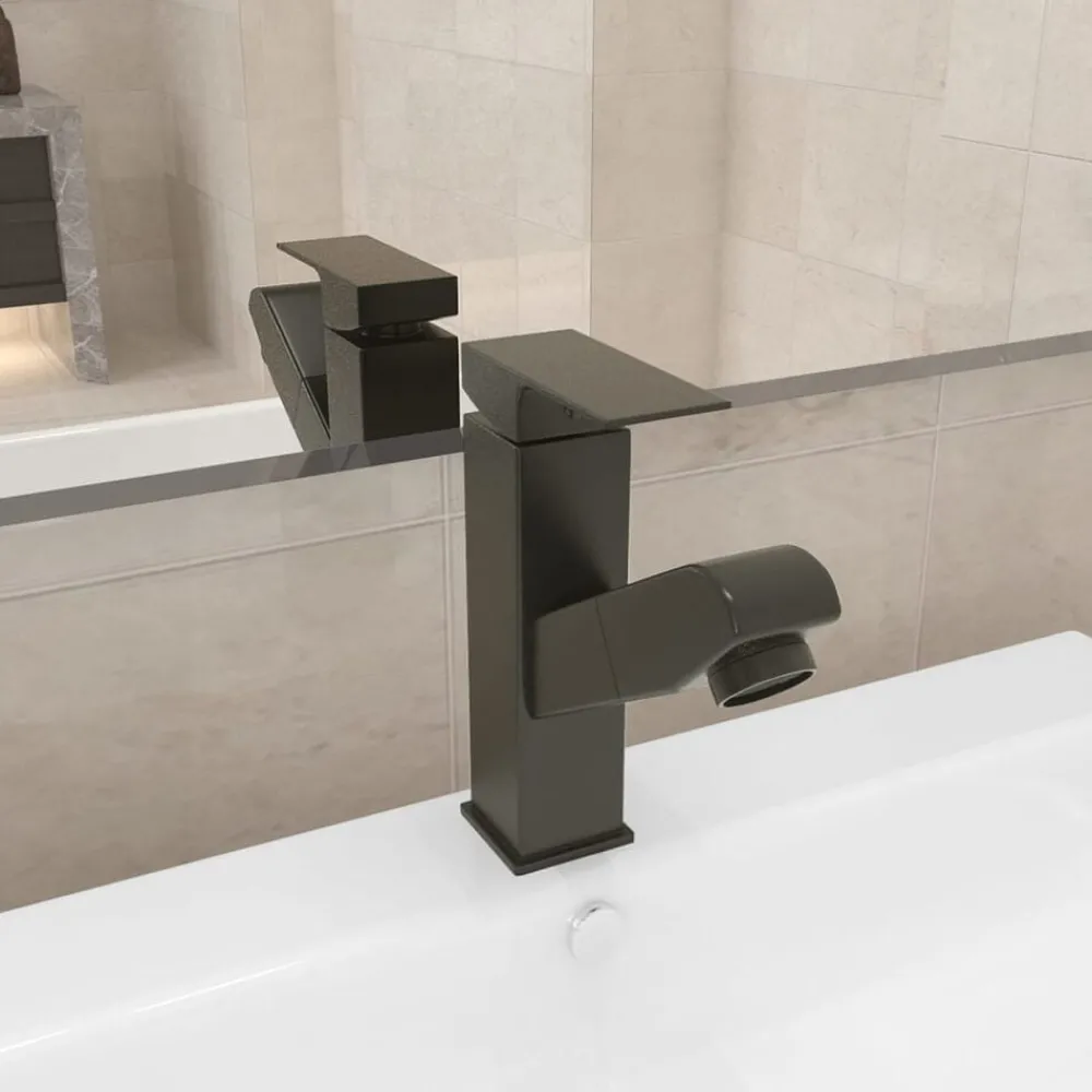 Sanitair & Loodgietersbenodigdheden*vidaXL Wastafelkraan met uittrekfunctie 157x172 mm Grijs