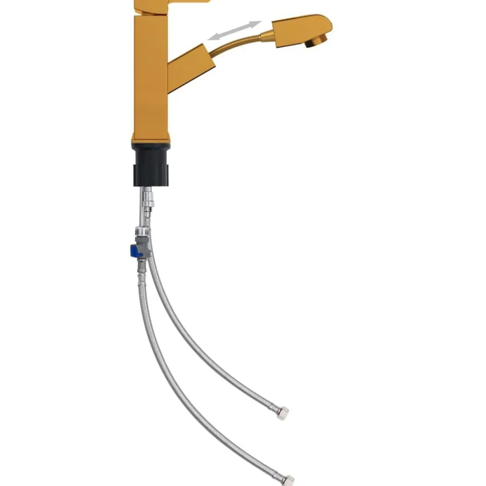 Sanitair & Loodgietersbenodigdheden*vidaXL Wastafelkraan met uittrekfunctie 157x172 mm kleurig Goud