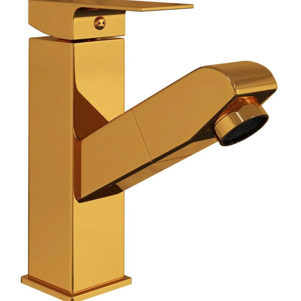 Sanitair & Loodgietersbenodigdheden*vidaXL Wastafelkraan met uittrekfunctie 157x172 mm kleurig Goud