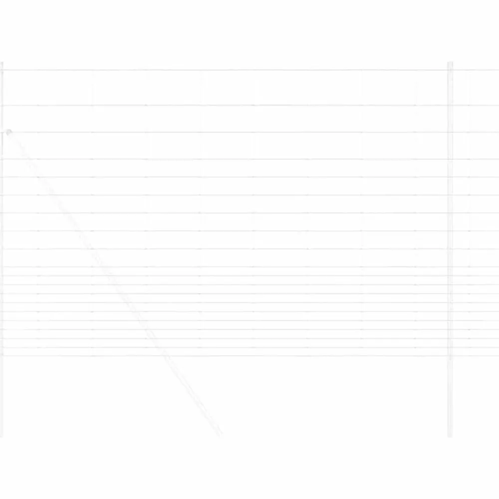 Wilde Hek Warm Verzinkt 1000 x 150 x 0,18 cm IJzer>vidaXL Outlet